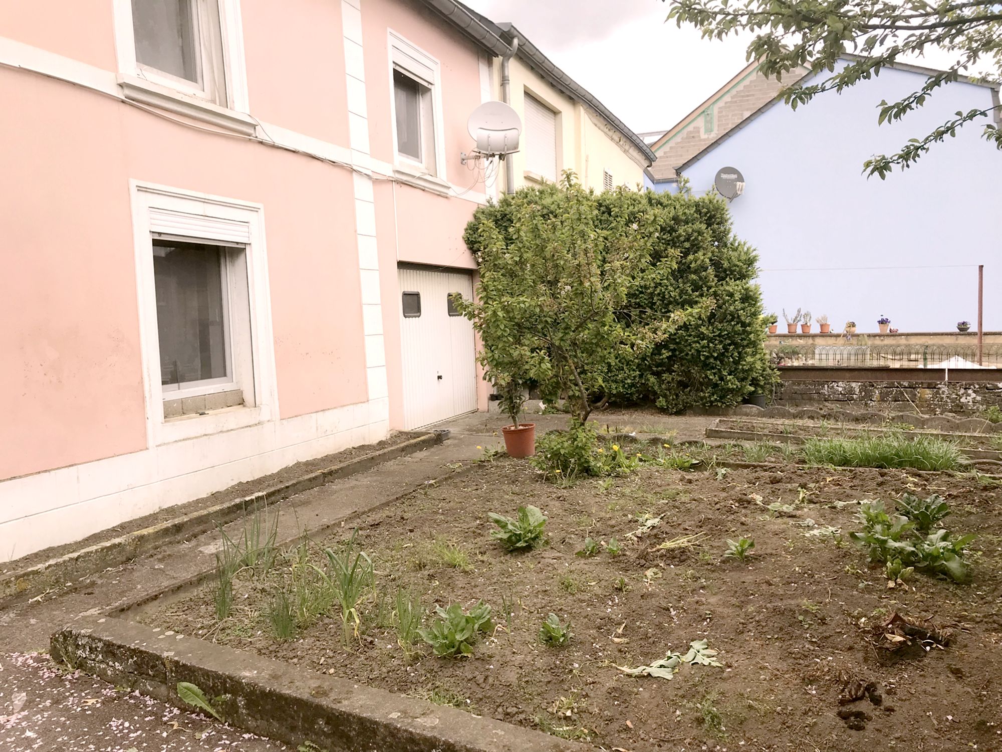 Outter City Bivange - 3 Bedroom Apartment with 2 Parking and Garden, Shared Kitchen