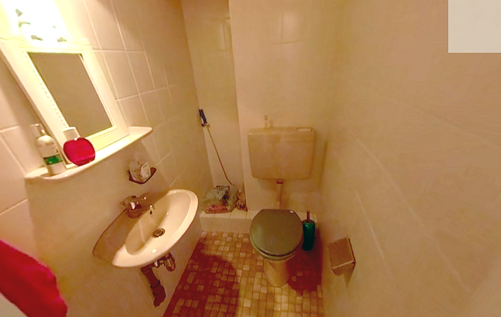 Trierweiler - House 4 Bedrooms 2 Garages with Large Garden Bright Living Room for sale